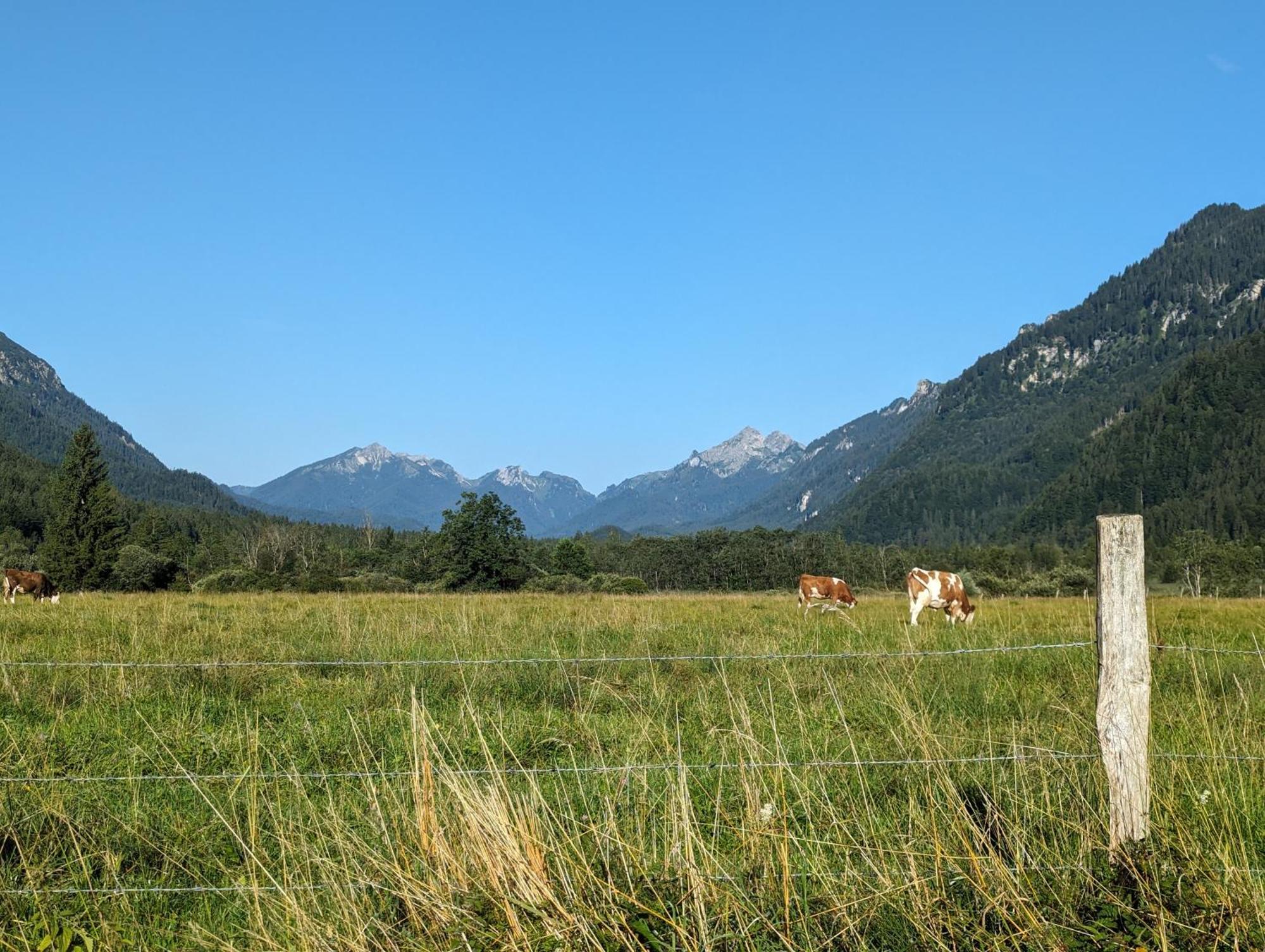 Zur Alten Schmiede Ettal Luaran gambar